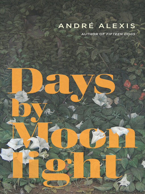 Cover image for Days by Moonlight